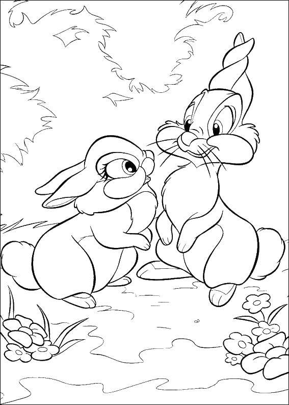 Coloring Bunny. Category Disney cartoons. Tags:  Disney, cartoons, bunnies.