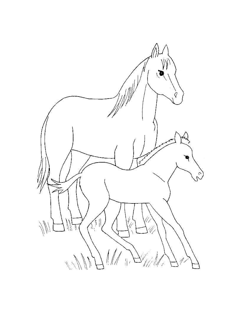 Розмальовки  Кінь з лошам на травичці. Завантажити розмальовку лашадь, лоша.  Роздрукувати ,домашні тварини,