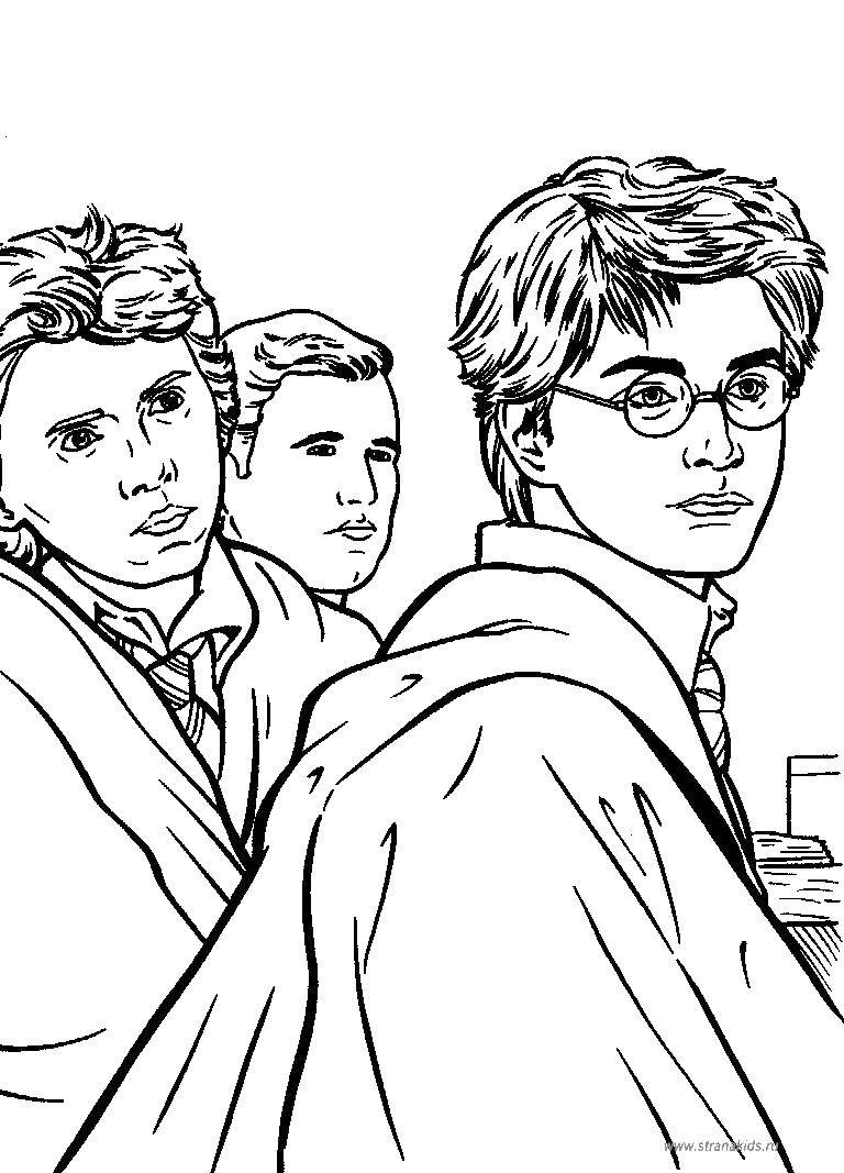 Coloring The characters of Harry Potter. Category Harry Potter. Tags:  movies, Harry Potter, magic, heroes.