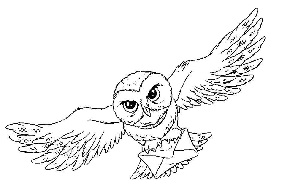 Coloring Owl with letter. Category Harry Potter. Tags:  movies, Harry Potter, magic, owl.