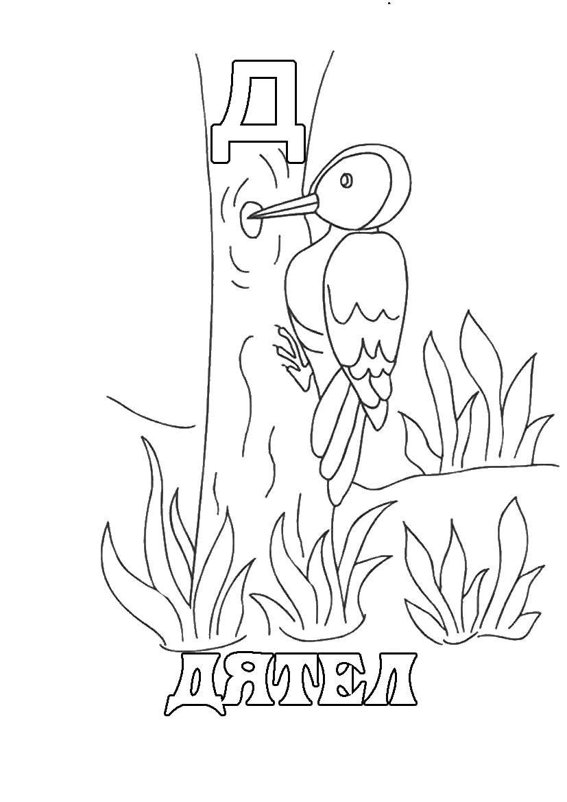 Название: Раскраска Дятел на дереве. Категория: Дятел. Теги: птицы, дятел.
