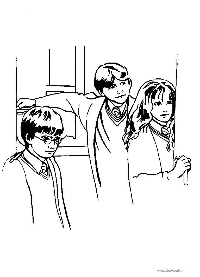 Coloring Harry, Ron and Hermione. Category Harry Potter. Tags:  Harry Potter cartoon.