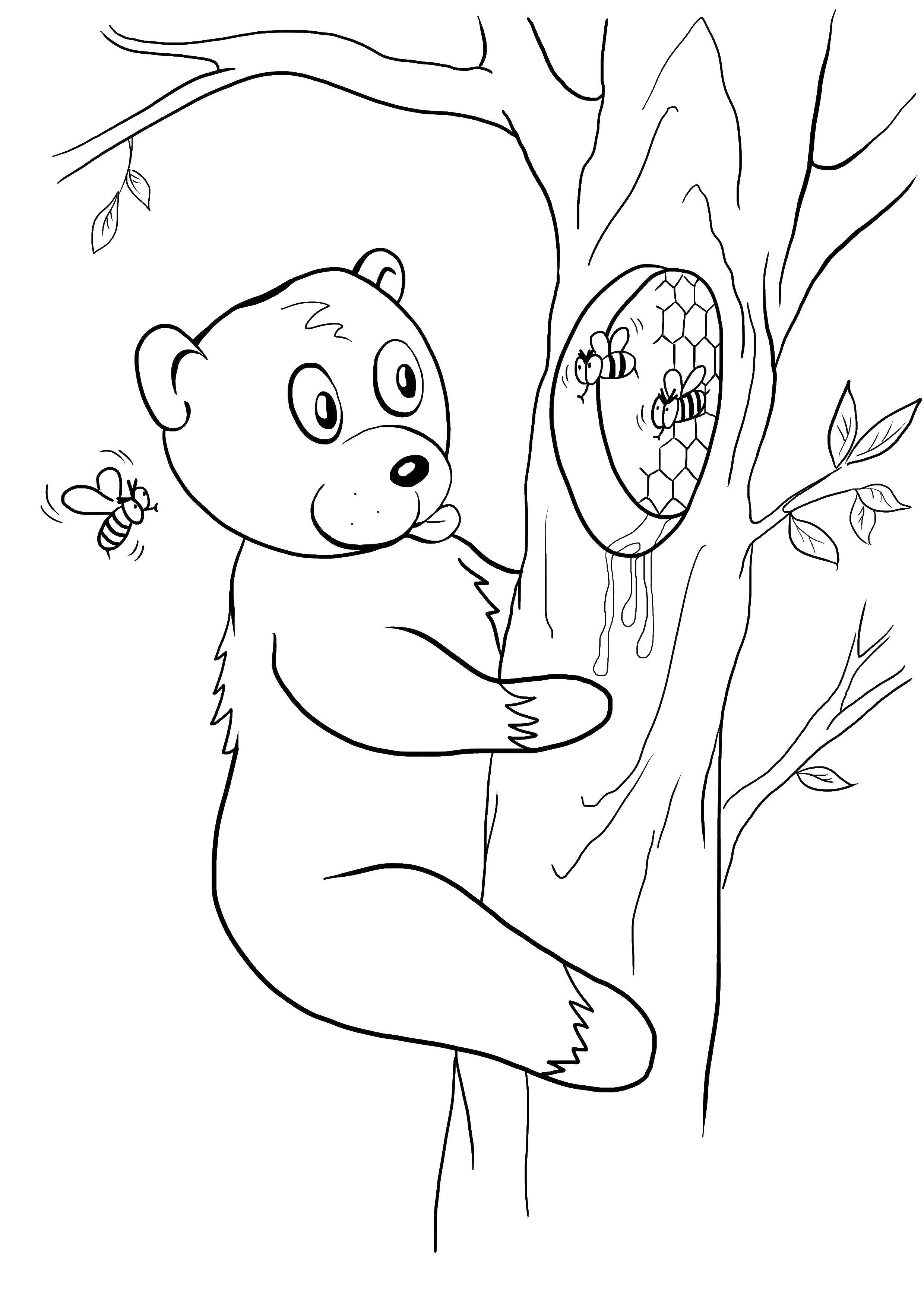 Coloring Bear and uly. Category Honey. Tags:  honey, bees, bear, uly.