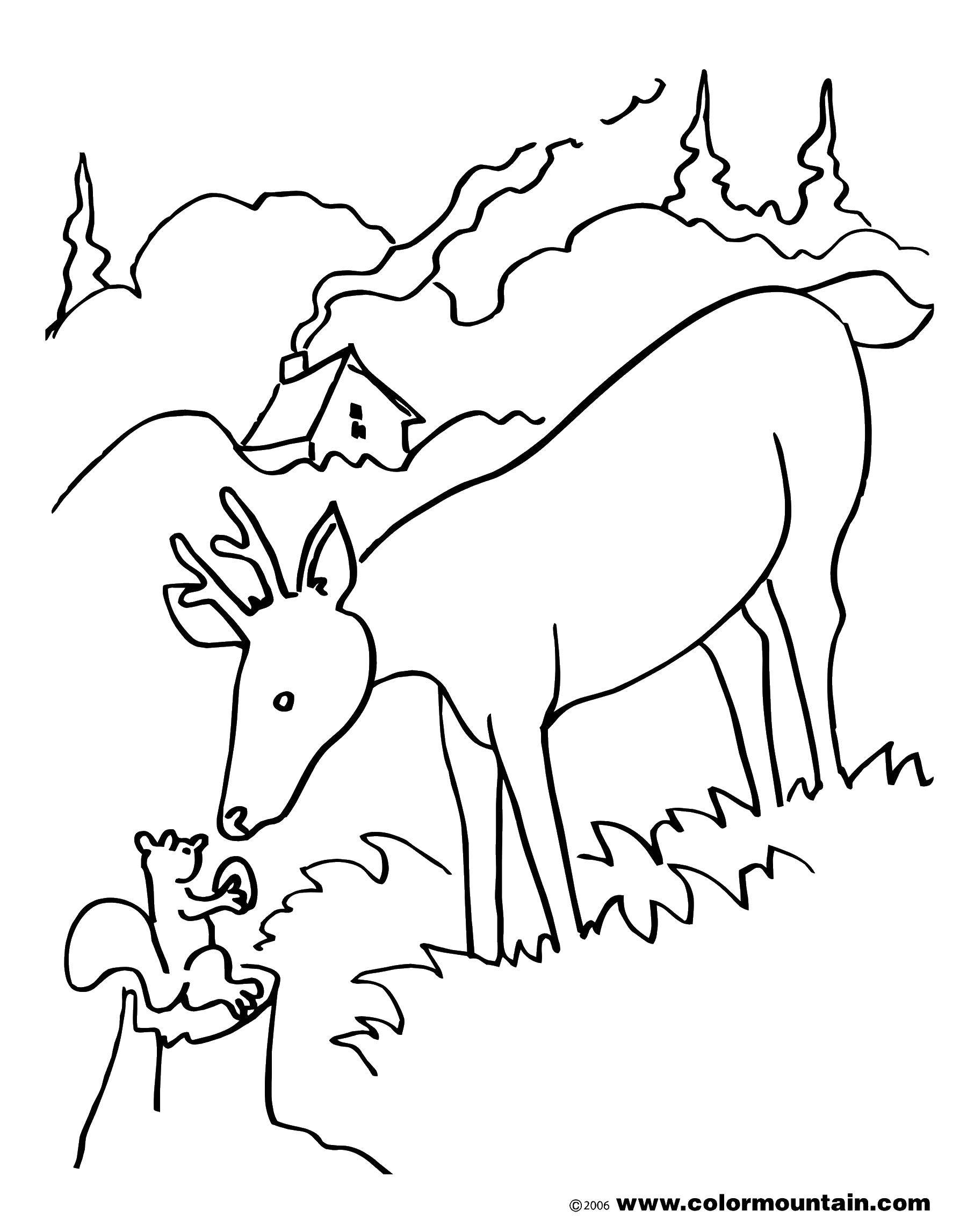 Coloring The squirrel and the moose. Category simple coloring. Tags:  squirrel, elk.