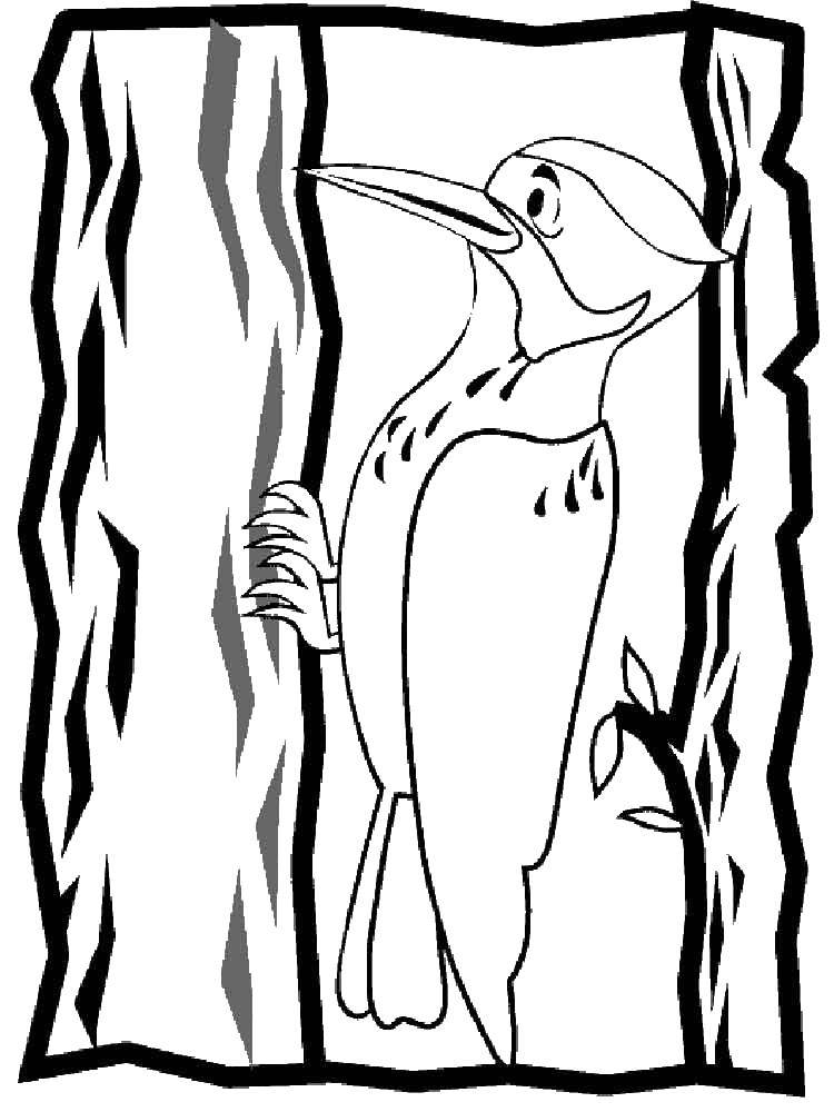 Название: Раскраска Дятел. Категория: Дятел. Теги: птицы, дятел, дерево.