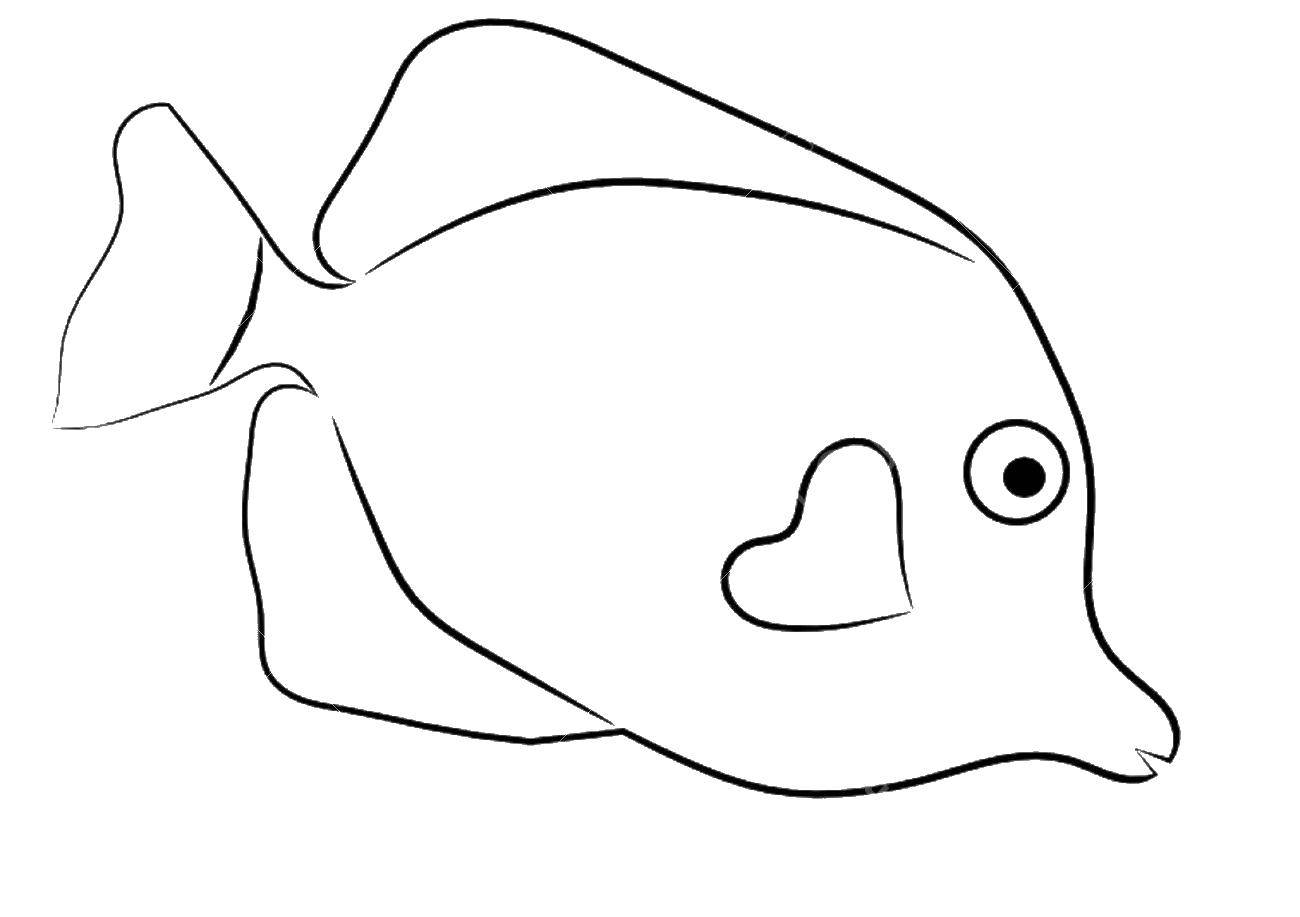 Название: Раскраска Контур рыбки. Категория: рыбы. Теги: контуры, рыбка.