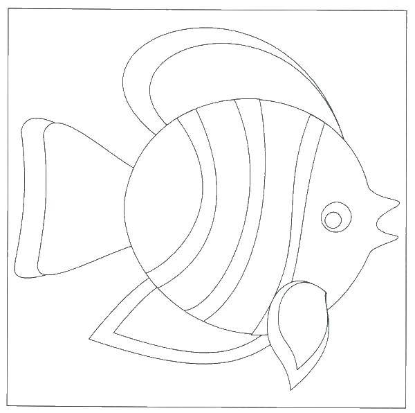 Название: Раскраска Полосатая рыбка. Категория: рыбы. Теги: рыбки, море, вода.