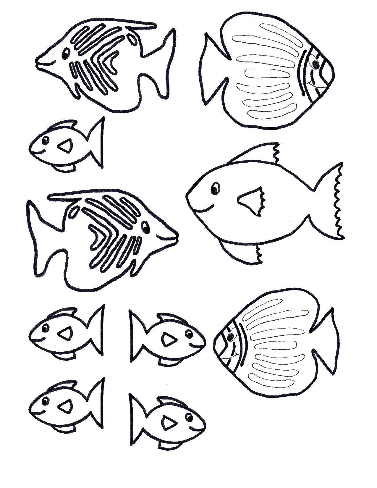 Название: Раскраска Различные рыбки. Категория: рыбы. Теги: рыбки, море.