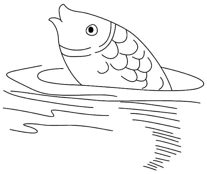 Название: Раскраска Рыба в море. Категория: рыбы. Теги: рыбки, море, вода.