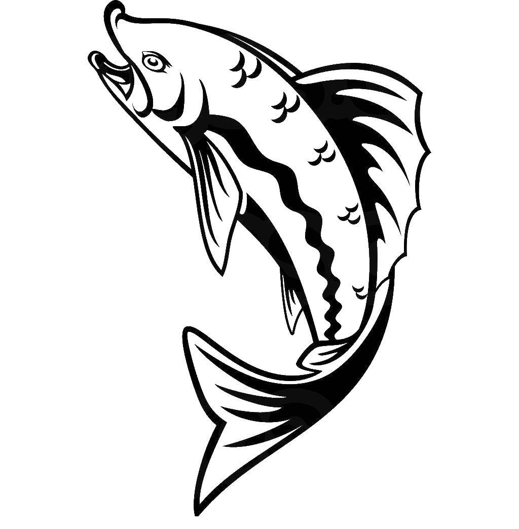 Название: Раскраска Рыба. Категория: рыбы. Теги: рыбки, море, вода.
