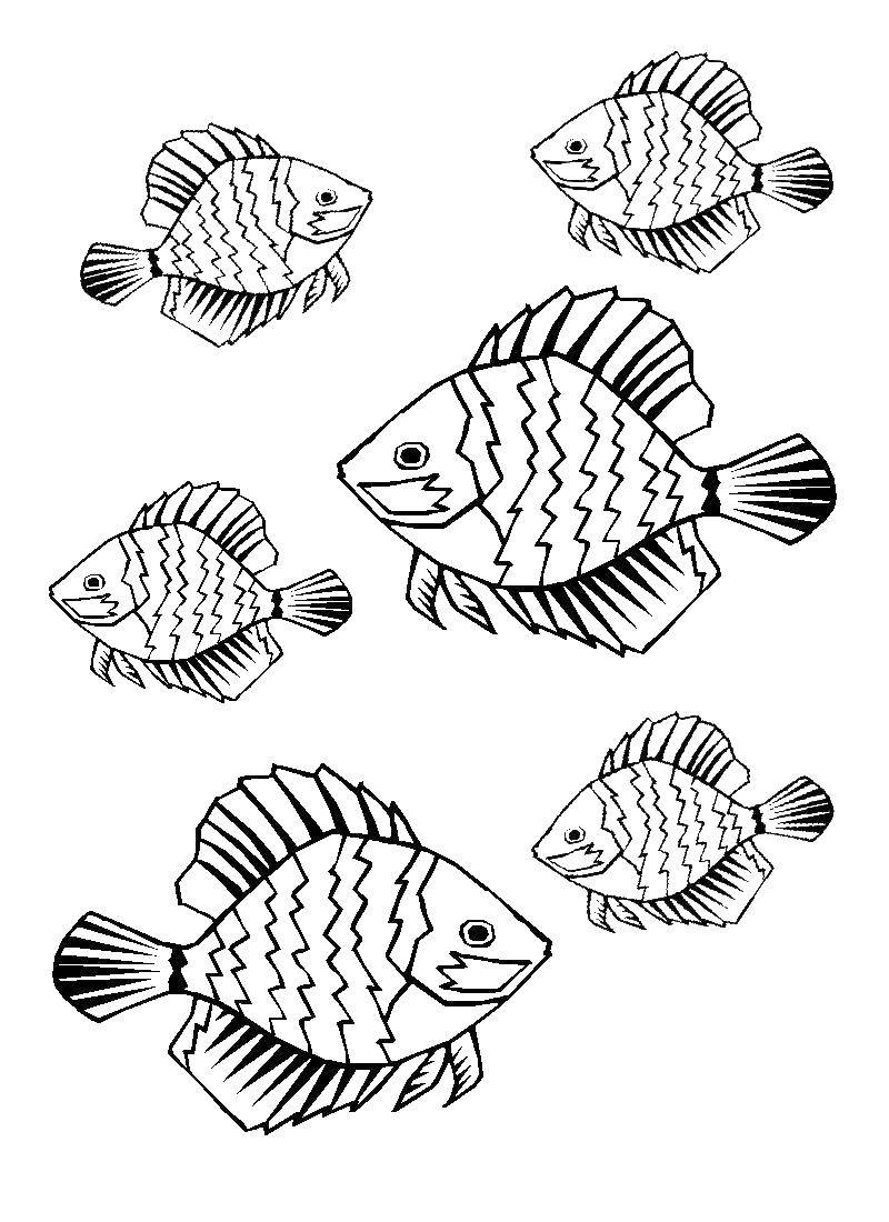 Название: Раскраска Рыбка. Категория: рыбы. Теги: рыбки, море, вода.