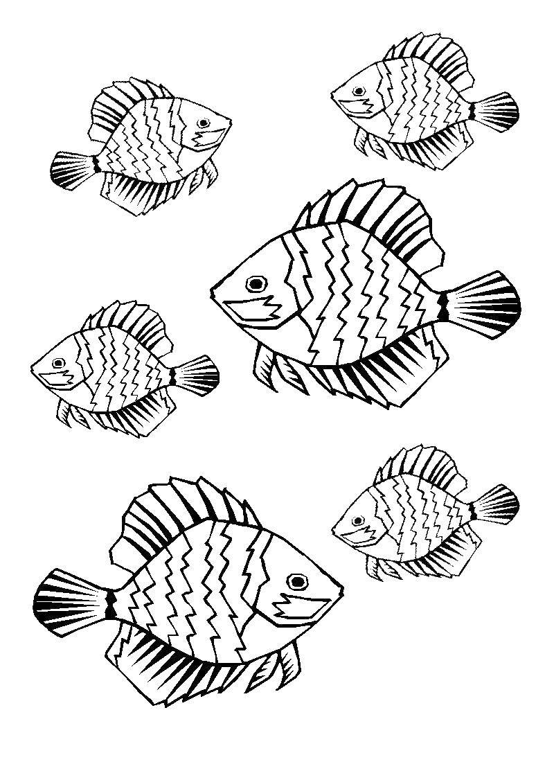 Coloring Fish. Category fish. Tags:  fish, sea, water.