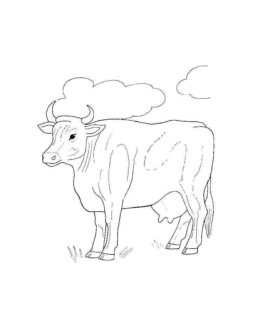 Название: Раскраска Корова на лугу. Категория: домашние животные. Теги: корова, облако, луг.