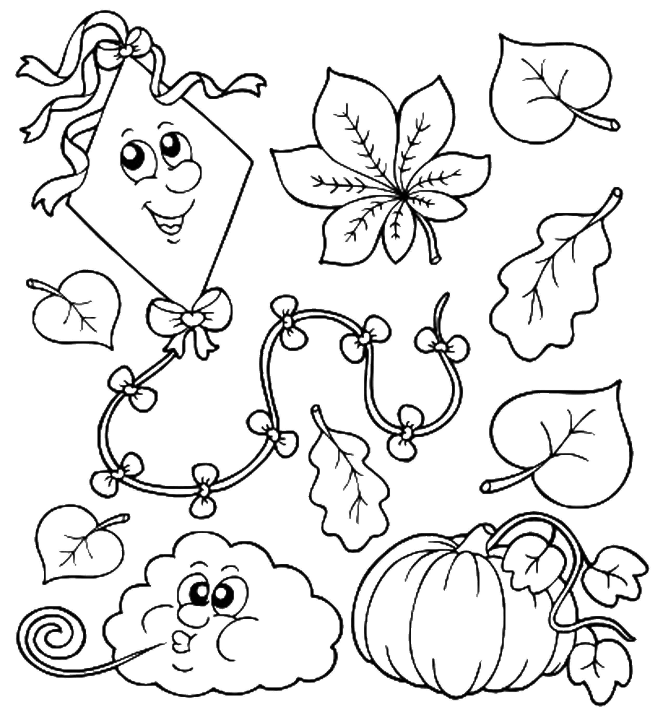 Coloring Leaves, a kite, pumpkin, cloud. Category Autumn. Tags:  autumn, leaves, pumpkin, kite.