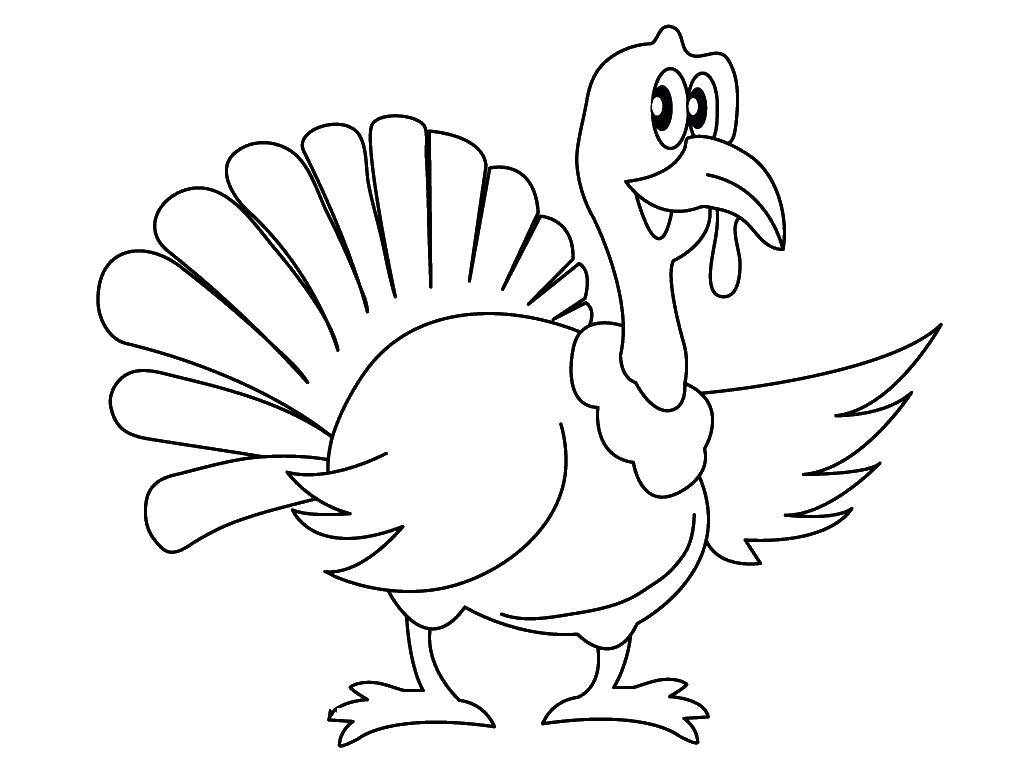 Coloring Turkey. Category birds. Tags:  poultry, Turkey.