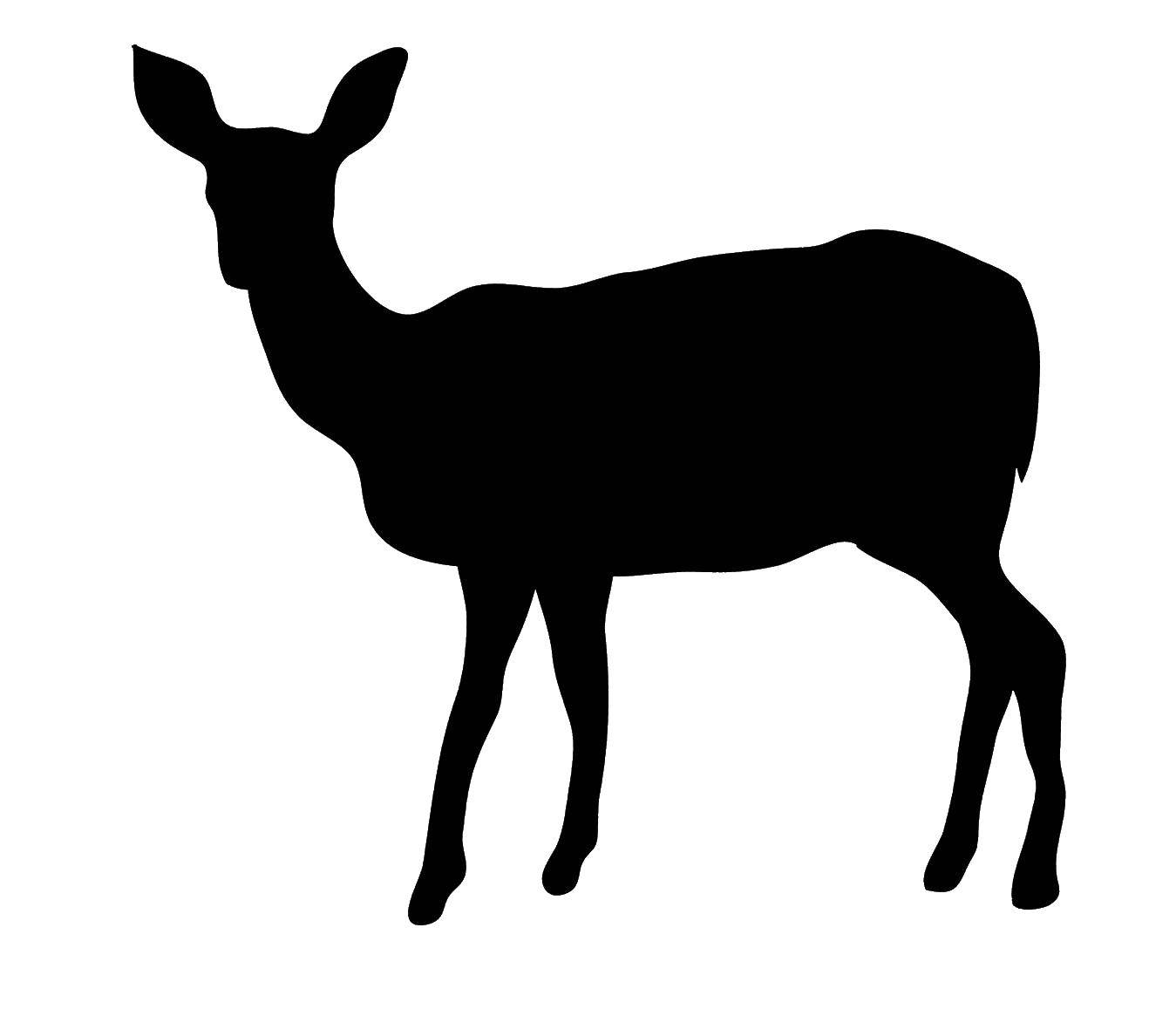 Coloring The contour of the calf. Category Animals. Tags:  animals, outline, reindeer.