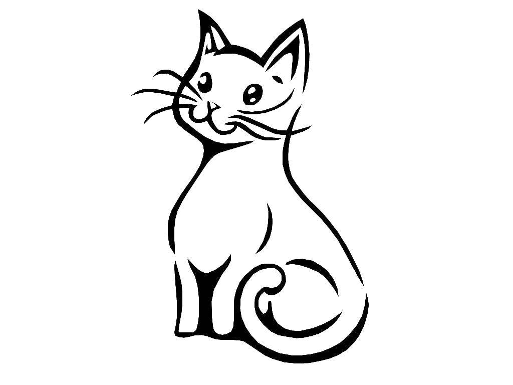 Название: Раскраска Кошечка. Категория: Коты и котята. Теги: животные, кошка, котенок.