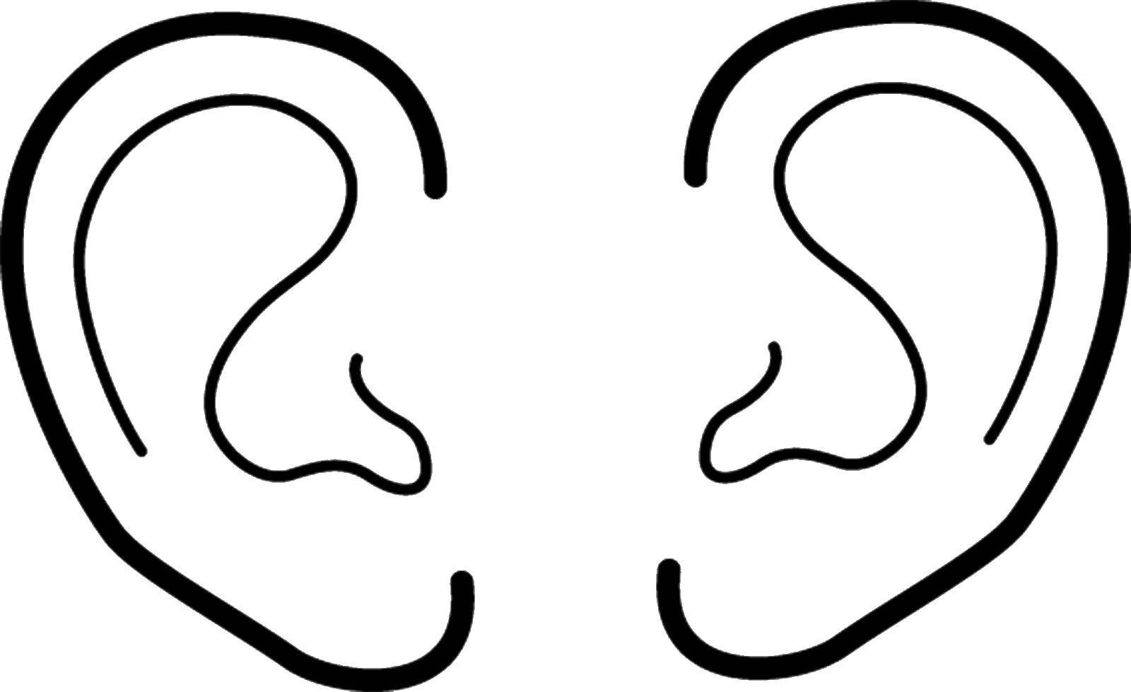 Название: Раскраска Уши. Категория: тело. Теги: части тела, уши.