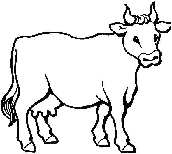 Название: Раскраска Корова. Категория: Контур коровы для вырезания. Теги: корова, животные.