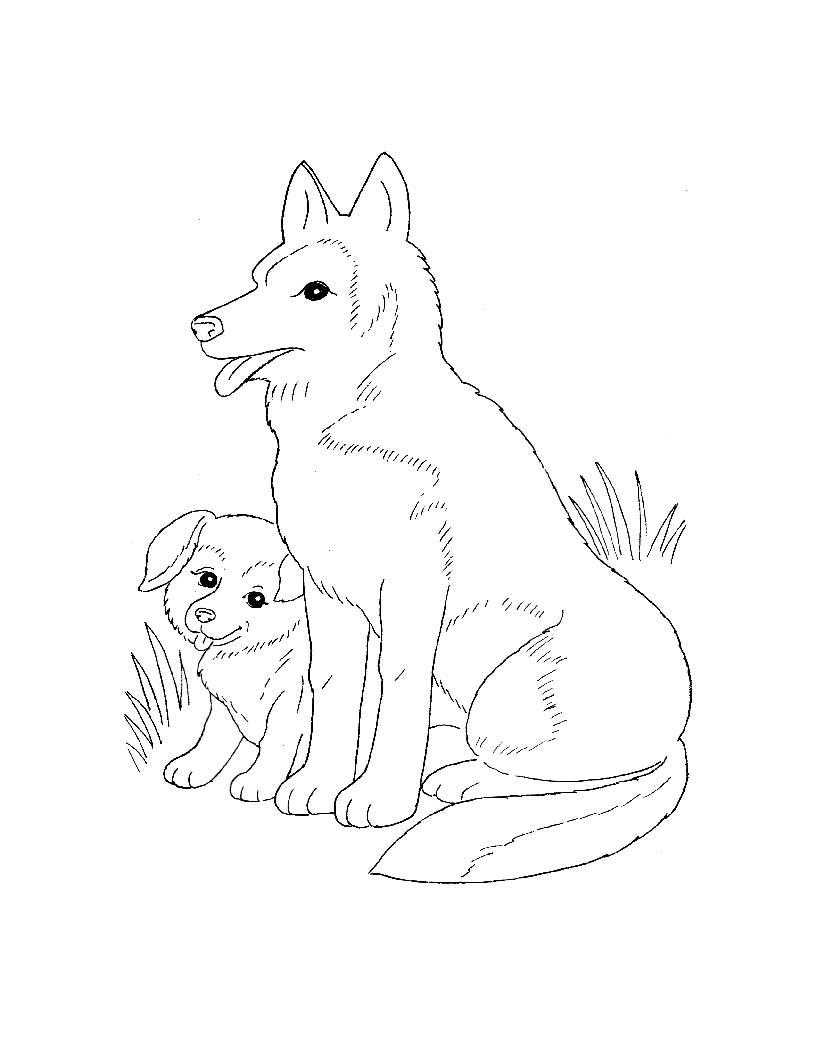 Название: Раскраска Собака и щенок на полянке. Категория: домашние животные. Теги: собака, щенок, полянка.