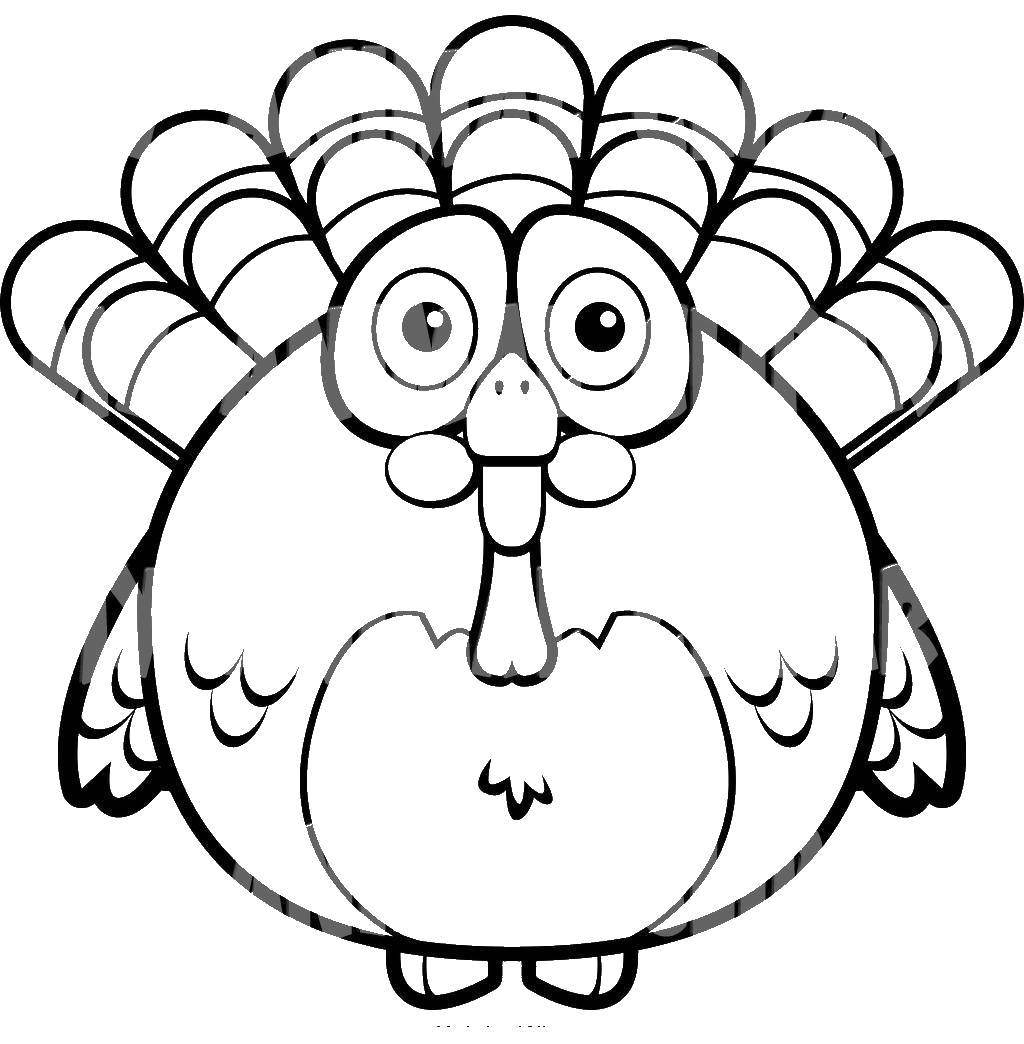 Coloring Turkey. Category birds. Tags:  poultry, Turkey.