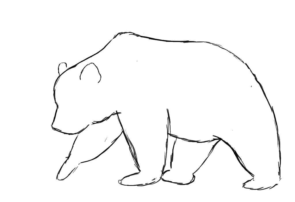 Название: Раскраска Контур медведя. Категория: Контур медведя для вырезания. Теги: медведь, животные, контур.
