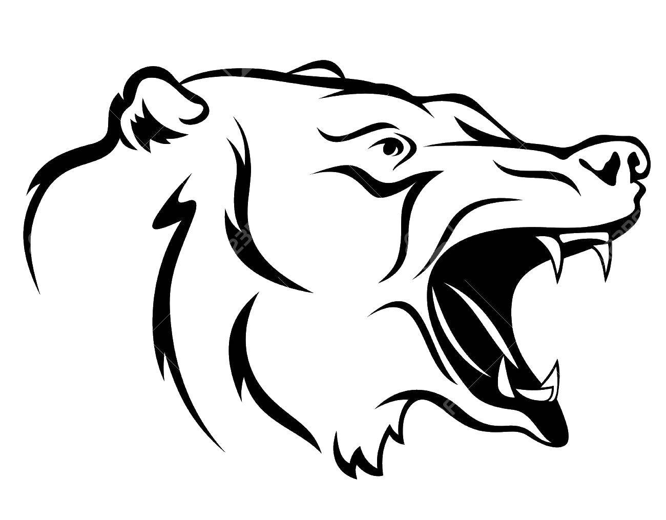 Coloring Bear. Category wild animals. Tags:  bear.