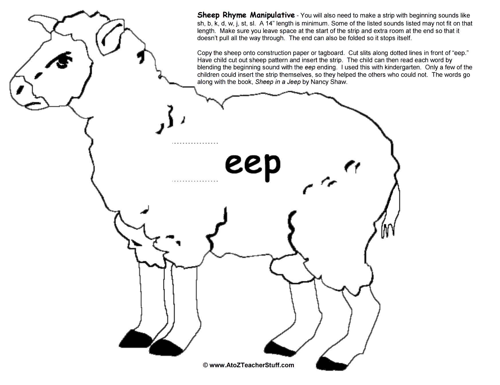 Название: Раскраска Овца на английском. Категория: домашние животные. Теги: овца, английский.
