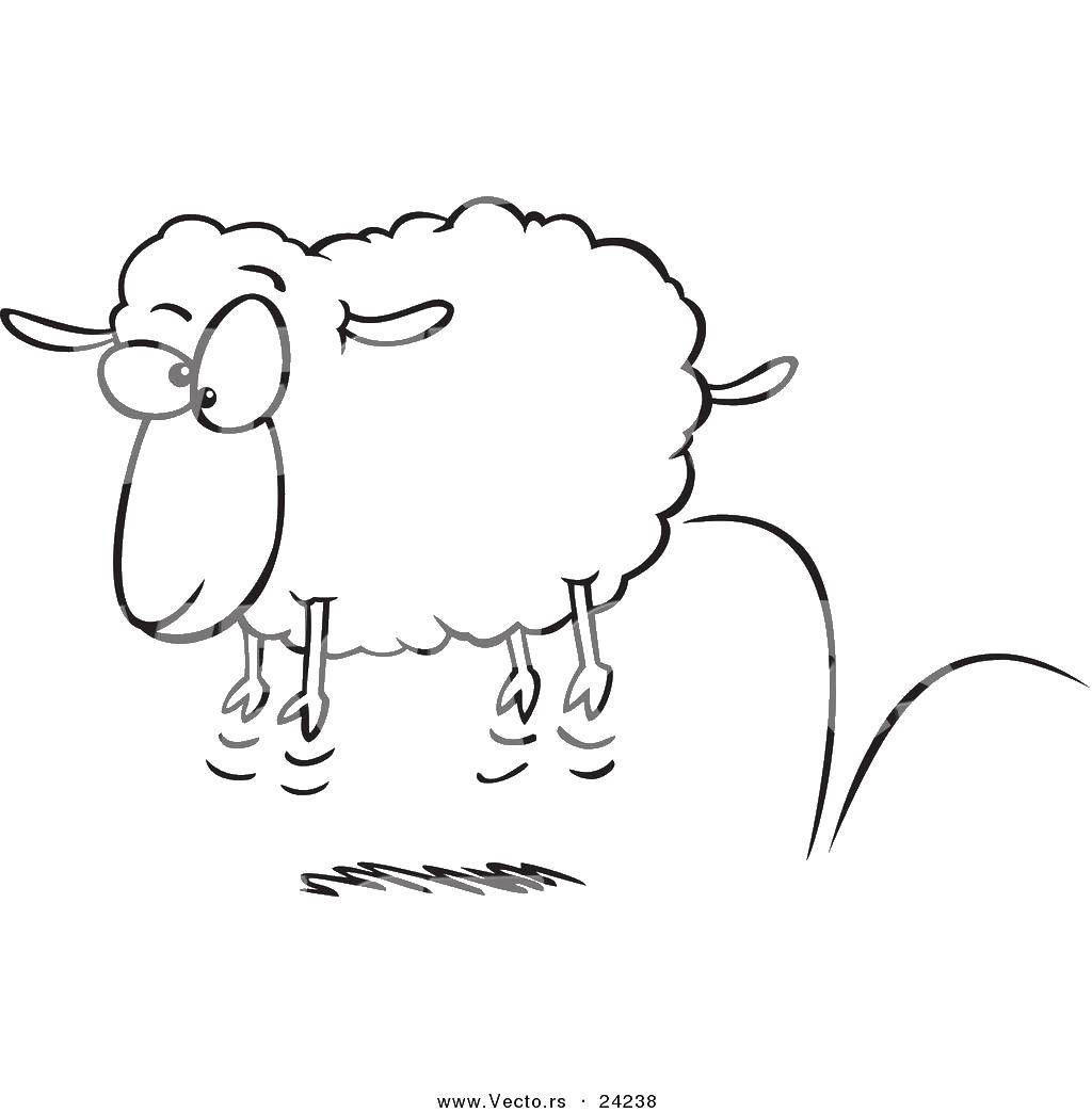 Название: Раскраска Прыгающая овца. Категория: домашние животные. Теги: прыгающая овца.