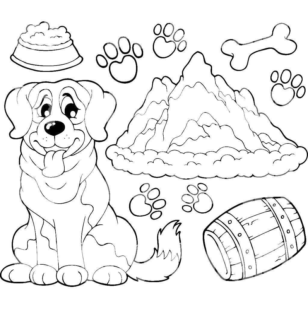 Coloring Dog. Category dogs. Tags:  dogs, animals.