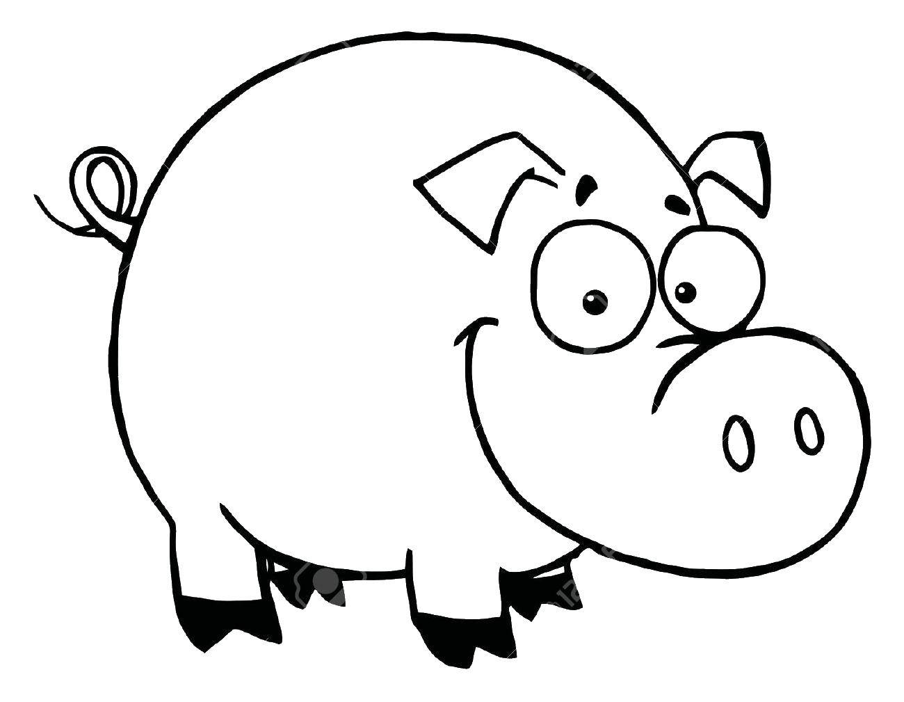 Coloring Piggy. Category Coloring pages for kids. Tags:  Animals, pig.
