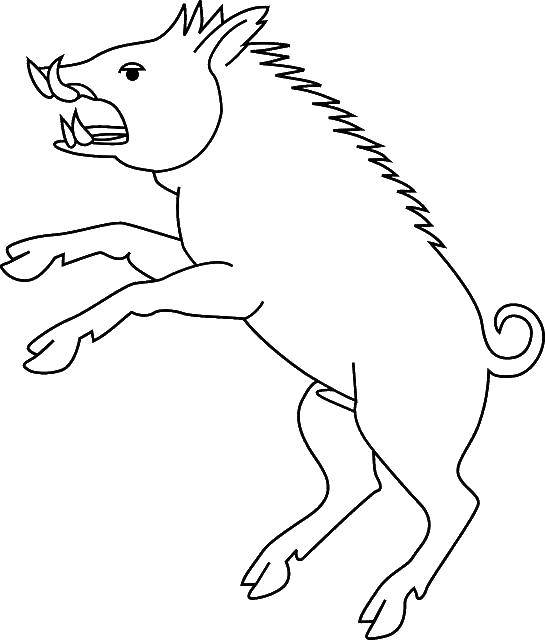 Coloring Boar. Category The outline of a pig to cut. Tags:  pig, wild boar, contour.