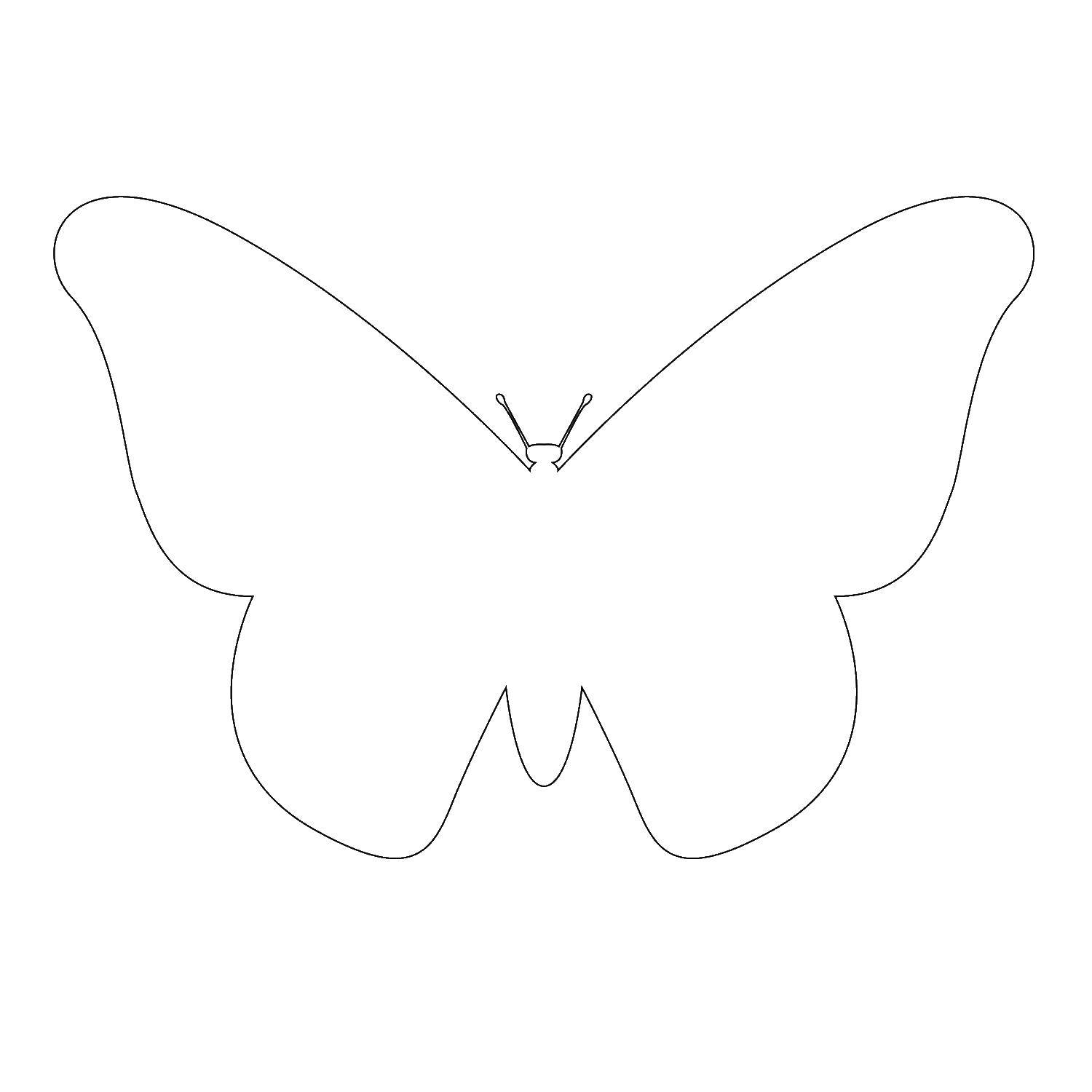 Название: Раскраска Контур бабочки. Категория: контуры бабочек для вырезания. Теги: контур, бабочка.
