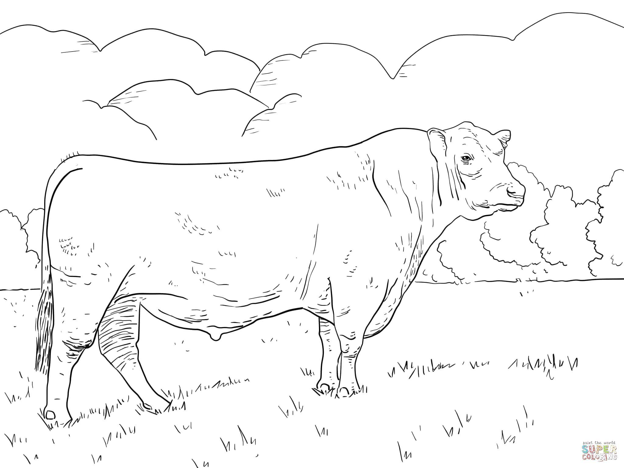 Coloring Cow. Category Animals. Tags:  Animals, cow.