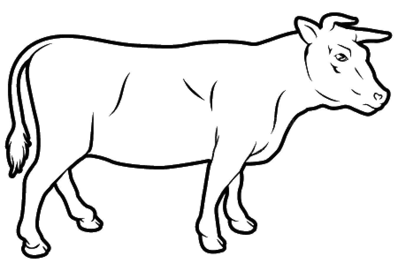 Название: Раскраска Коровка. Категория: Животные. Теги: Животные, корова.