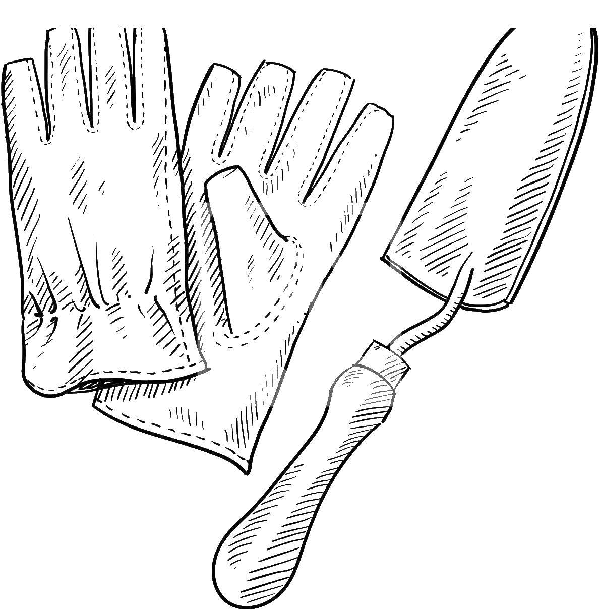 Coloring Gloves and a shovel. Category the objects. Tags:  items, gloves, shovel.