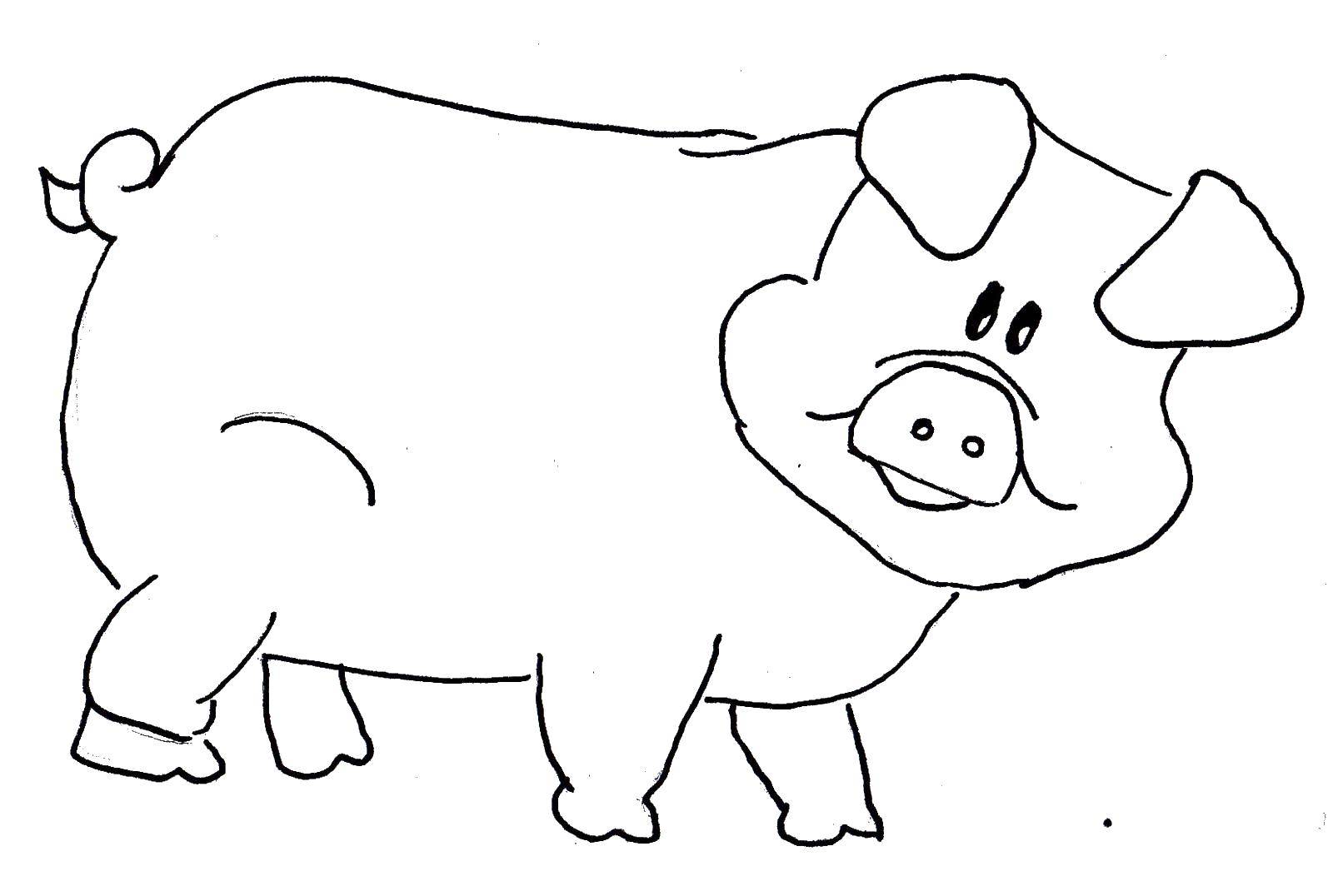 Coloring Pig. Category Animals. Tags:  Animals, pig.