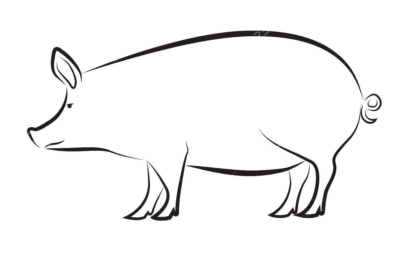 Coloring Pig. Category The outline of a pig to cut. Tags:  Outline .