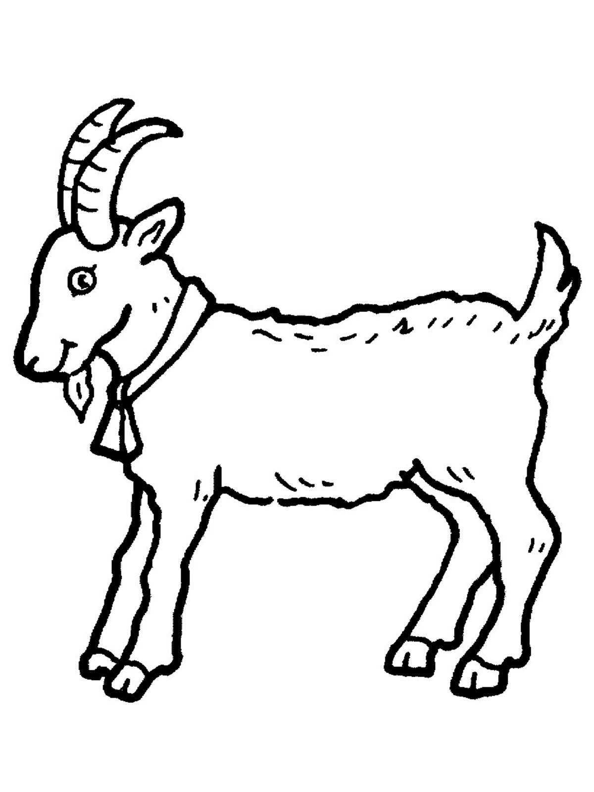 Картинка-раскраска для детей 4-5 лет животные козел, барашек, свинка, индюшка распечатать