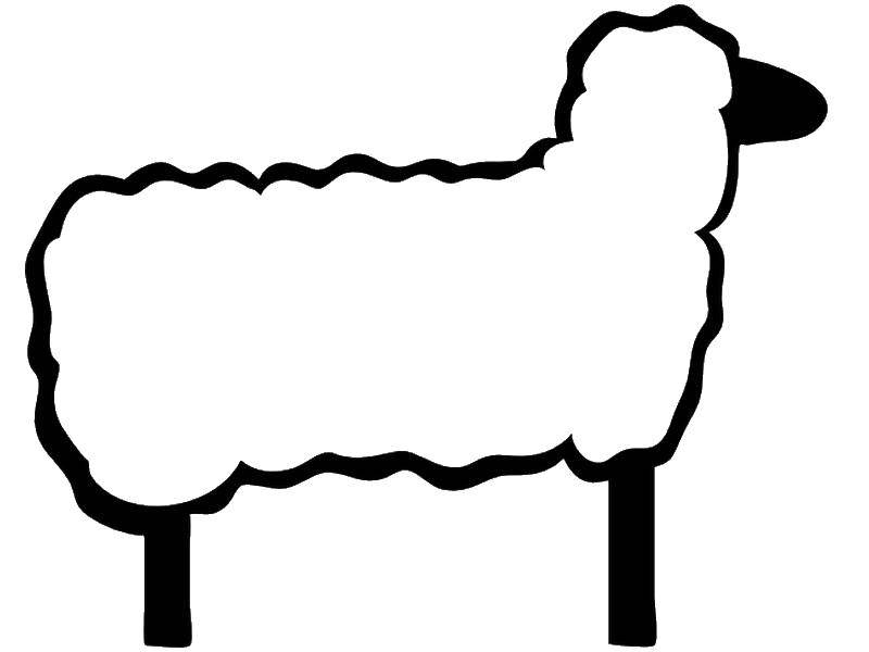 Название: Раскраска Овечка. Категория: Животные. Теги: животные, овечка.