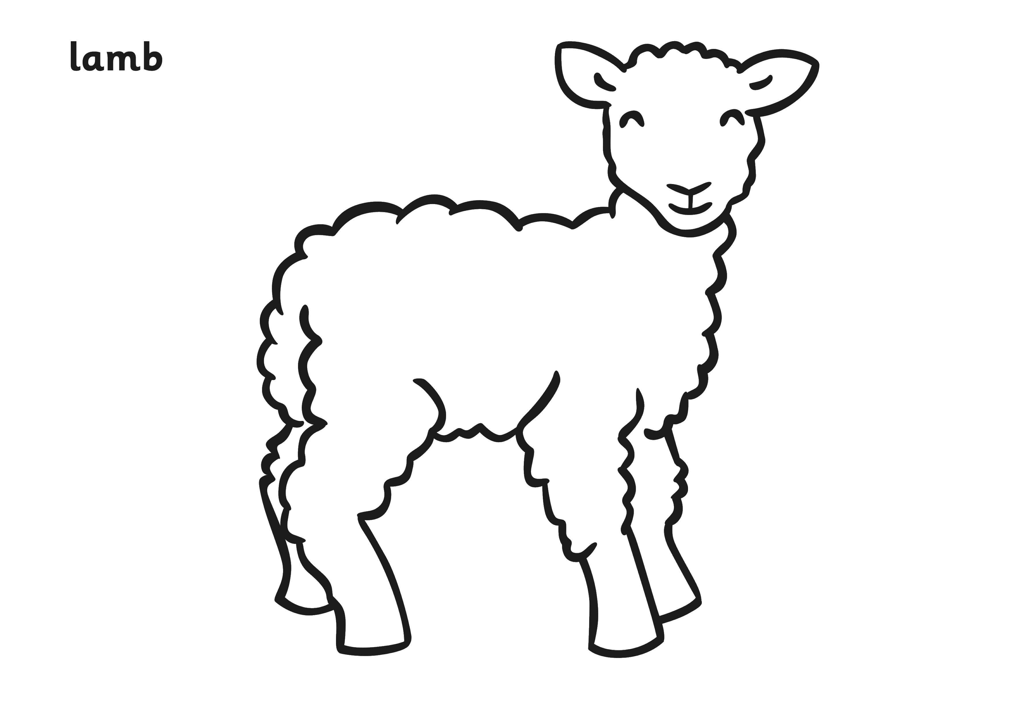 Название: Раскраска Овечка. Категория: Контур овечки для вырезания. Теги: Животные, овечка.