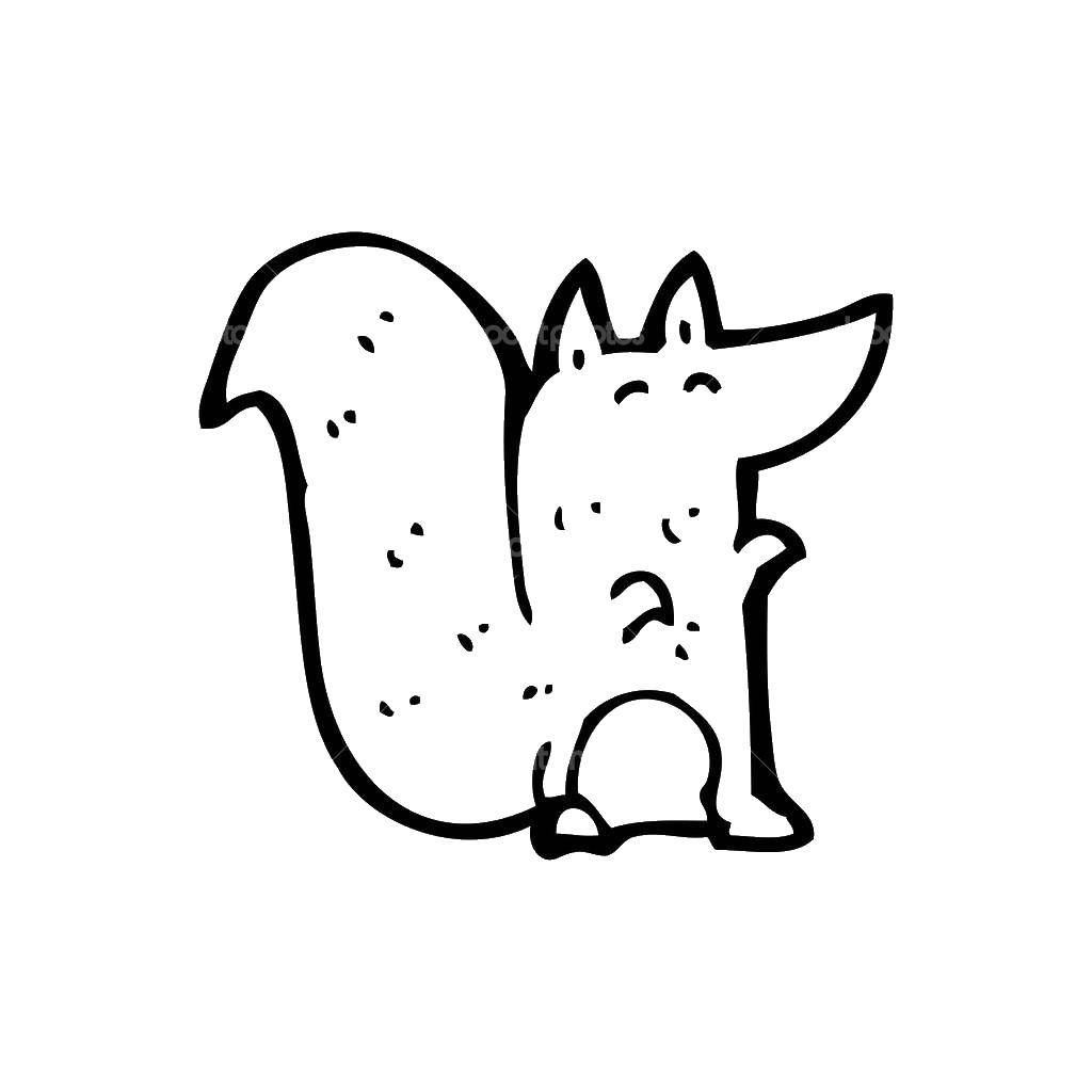Coloring Squirrel. Category The contours proteins to cut. Tags:  Outline .