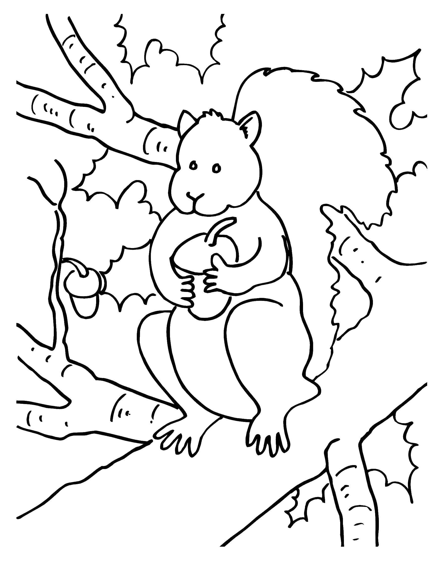 Раскраска Белочка в лесу для детей