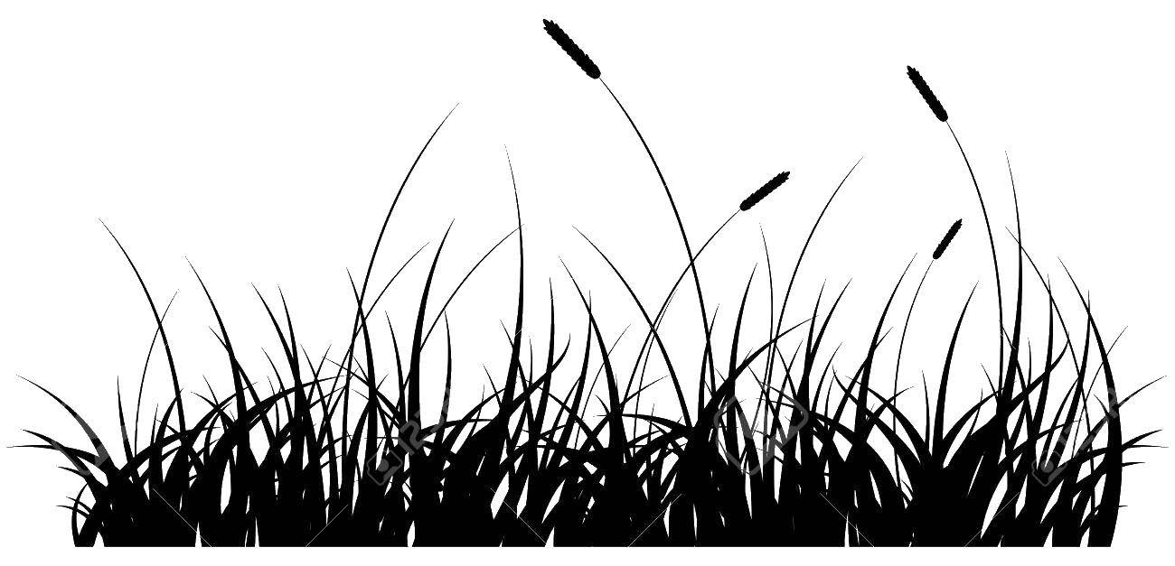 Название: Раскраска Камыш. Категория: Контуры травы для вырезания. Теги: Контур.