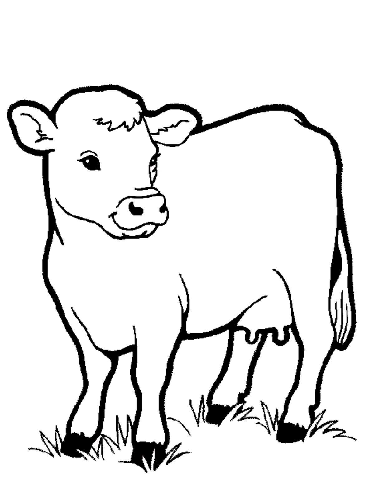 Название: Раскраска Корова на лугу. Категория: домашние животные. Теги: корова, луг.