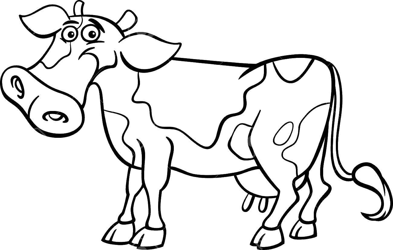 Название: Раскраска Корова. Категория: Животные. Теги: животные, корова.