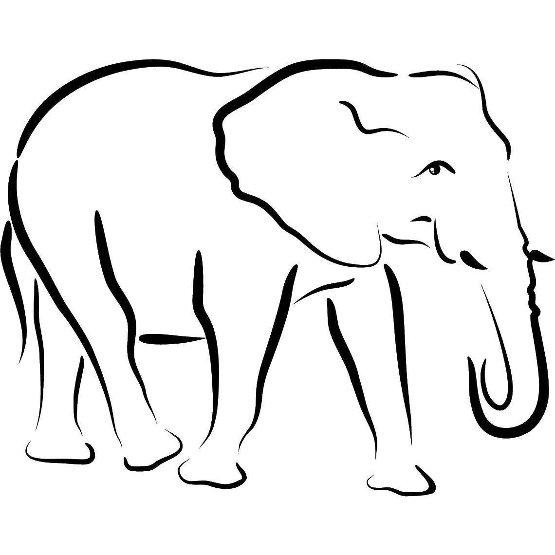 Coloring Elephant. Category Animals. Tags:  animals, elephant.