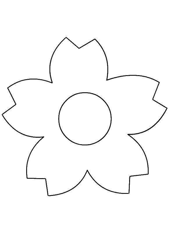 Coloring Flower. Category flowers. Tags:  flowers, plants, buds, petals.