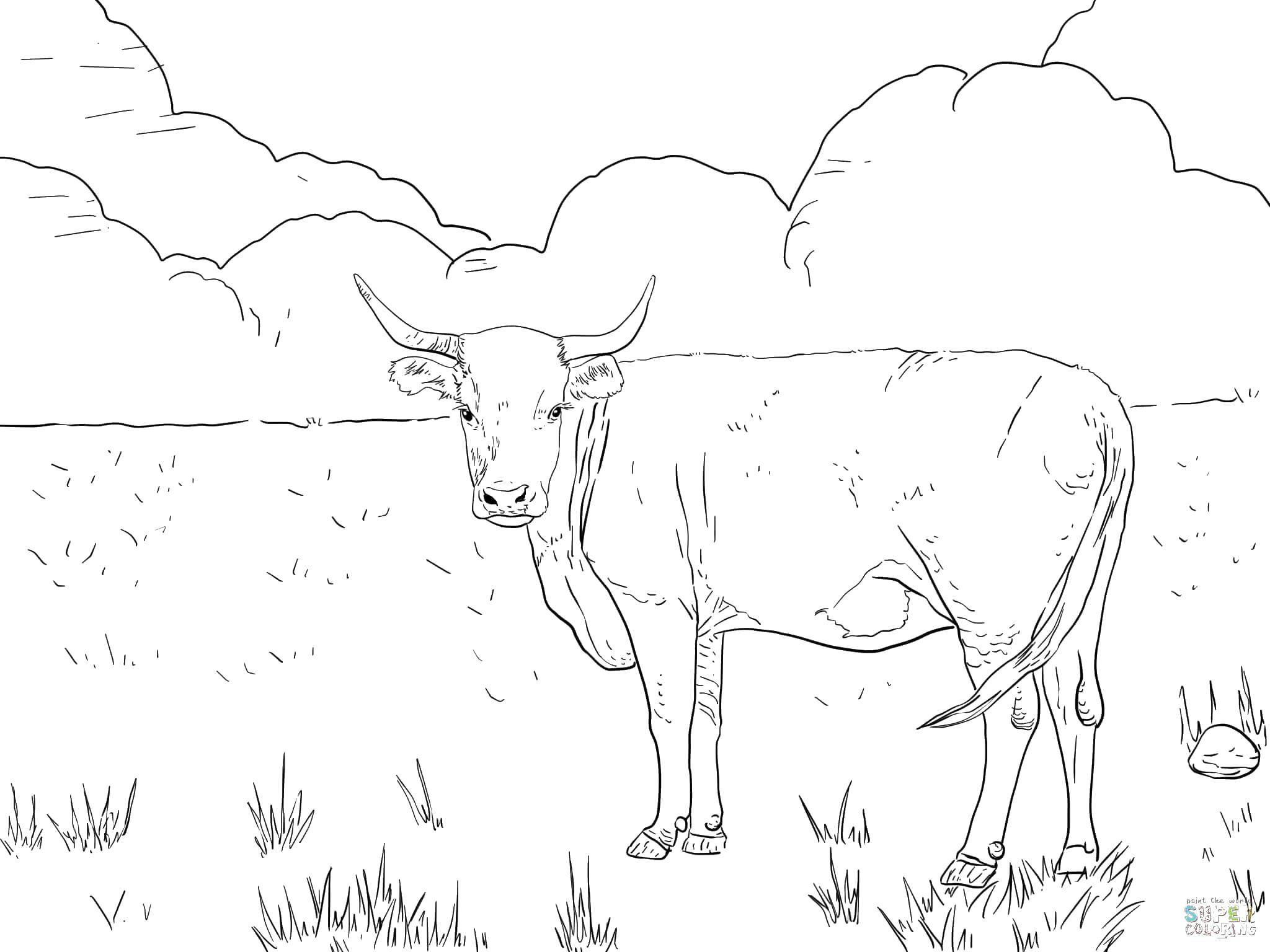 Название: Раскраска Коровка. Категория: Животные. Теги: животные, корова.