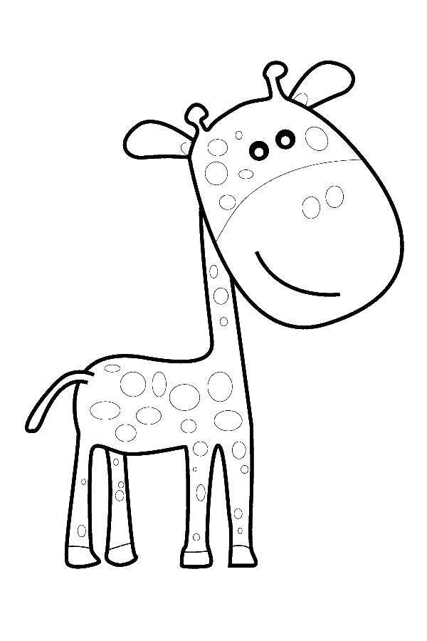 Название: Раскраска Милый жираф. Категория: Раскраски для малышей. Теги: Животные, жираф.